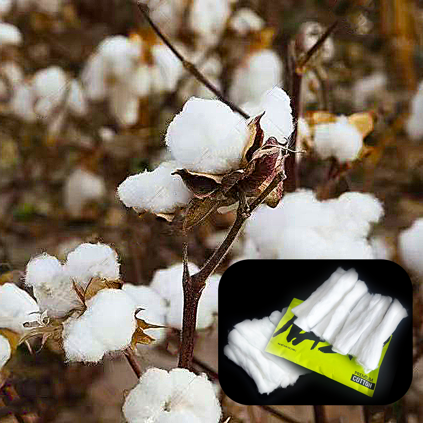 10/5/3Packs Home DIY Natural C - Cotton Wick Organic 评论和价格