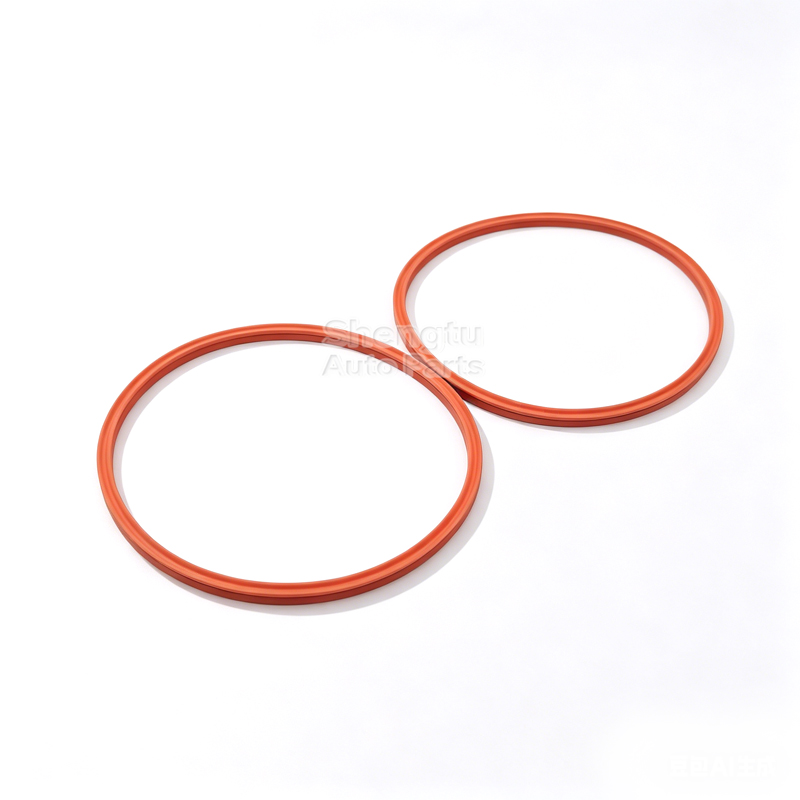 2Pcs Fuel Pump Tank Seal O-Rin - Tank O-Ring Seal 评论和价格
